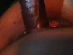 Una abeja mexicanas  ...