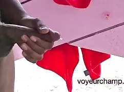 Afeitado perra pagin ...