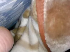 Asiático Amateur vid ...