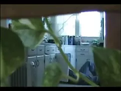 Mira la cola. porno  ...